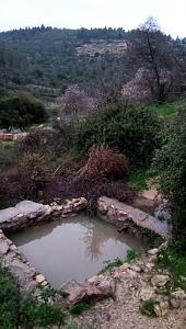 Click image for larger version. 

Name:	IMG_20240129_205808.jpg 
Views:	107 
Size:	374.2  
ID:	145858