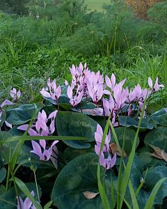 Click image for larger version. 

Name:	IMG_20240215_205914.jpg 
Views:	90 
Size:	314.0  
ID:	146055
