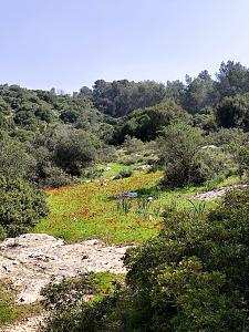 Click image for larger version. 

Name:	4.jpg 
Views:	80 
Size:	466.6  
ID:	146224