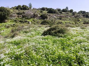 Click image for larger version. 

Name:	7.jpg 
Views:	80 
Size:	242.9  
ID:	146225