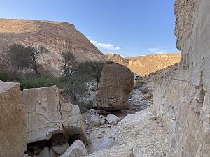 Click image for larger version. 

Name:	IMG_5773.JPEG 
Views:	115 
Size:	916.2  
ID:	146356