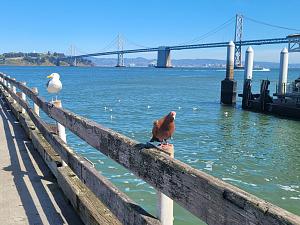 Click image for larger version. 

Name:	20240317_140405.jpg 
Views:	105 
Size:	125.4  
ID:	146429