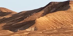 Click image for larger version. 

Name:	IMG_20240617_205721.jpg 
Views:	129 
Size:	219.3  
ID:	146999