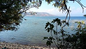Click image for larger version. 

Name:	IMG_20241105_202647.jpg 
Views:	93 
Size:	555.2  
ID:	147898