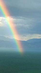 Click image for larger version. 

Name:	IMG_20241230_183109.jpg 
Views:	77 
Size:	176.7  
ID:	148276
