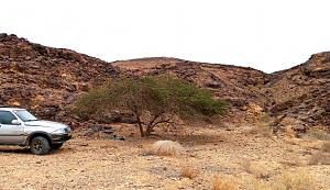 Click image for larger version. 

Name:	IMG_20250207_222148.jpg 
Views:	93 
Size:	470.5  
ID:	148597