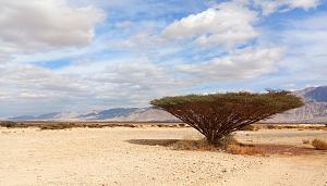 Click image for larger version. 

Name:	IMG_20250207_222124.jpg 
Views:	90 
Size:	350.9  
ID:	148598