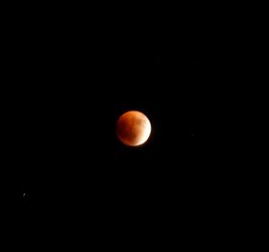 Click image for larger version. 

Name:	IMG_20250908_135709.jpg 
Views:	40 
Size:	51.1  
ID:	149358