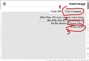 Click image for larger version. 

Name:	--2.jpG 
Views:	11 
Size:	27.8  
ID:	150069