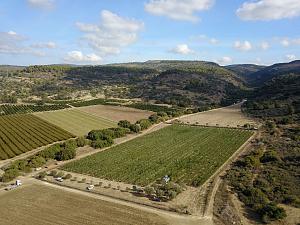 Click image for larger version.&nbsp;

Name:	��� ����� �����.jpeg&nbsp;
Views:	101&nbsp;
Size:	300.4 ��������&nbsp;
ID:	150141