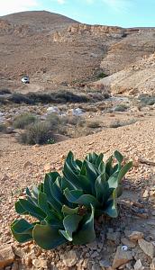 Click image for larger version.&nbsp;

Name:	IMG_20251231_210408.jpg&nbsp;
Views:	59&nbsp;
Size:	755.3 ��������&nbsp;
ID:	150230