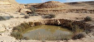 Click image for larger version.&nbsp;

Name:	IMG_20251231_210425.jpg&nbsp;
Views:	58&nbsp;
Size:	959.5 ��������&nbsp;
ID:	150232