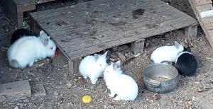 Click image for larger version.&nbsp;

Name:	IMG_20260103_115842.jpg&nbsp;
Views:	40&nbsp;
Size:	655.4 ��������&nbsp;
ID:	150238