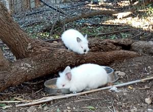 Click image for larger version.&nbsp;

Name:	IMG_20260103_115656.jpg&nbsp;
Views:	41&nbsp;
Size:	274.0 ��������&nbsp;
ID:	150239