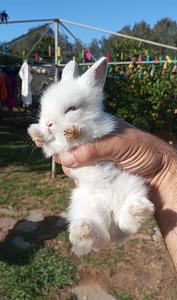 Click image for larger version.&nbsp;

Name:	IMG_20260103_115641.jpg&nbsp;
Views:	38&nbsp;
Size:	487.2 ��������&nbsp;
ID:	150240