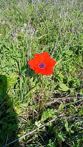 Click image for larger version.&nbsp;

Name:	1.jpg&nbsp;
Views:	60&nbsp;
Size:	388.9 ��������&nbsp;
ID:	150338