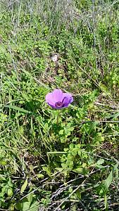 Click image for larger version.&nbsp;

Name:	2.jpg&nbsp;
Views:	62&nbsp;
Size:	440.8 ��������&nbsp;
ID:	150339