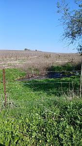 Click image for larger version.&nbsp;

Name:	��� ����.jpg&nbsp;
Views:	63&nbsp;
Size:	360.7 ��������&nbsp;
ID:	150340