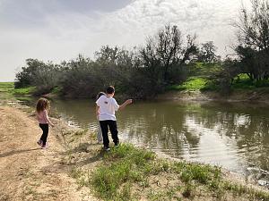 Click image for larger version.&nbsp;

Name:	WhatsApp Image 2026-02-01 at 08.38.00.jpeg&nbsp;
Views:	55&nbsp;
Size:	638.4 ��������&nbsp;
ID:	150383