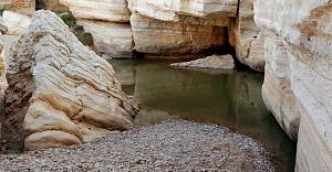 Click image for larger version.&nbsp;

Name:	IMG_20260202_182456.jpg&nbsp;
Views:	49&nbsp;
Size:	705.1 ��������&nbsp;
ID:	150397