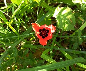 Click image for larger version.&nbsp;

Name:	IMG_20260221_074220.jpg&nbsp;
Views:	23&nbsp;
Size:	476.7 ��������&nbsp;
ID:	150591