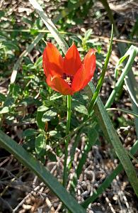 Click image for larger version.&nbsp;

Name:	IMG_20260221_074209.jpg&nbsp;
Views:	24&nbsp;
Size:	534.2 ��������&nbsp;
ID:	150592