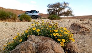 Click image for larger version.&nbsp;

Name:	IMG_20260223_181718.jpg&nbsp;
Views:	55&nbsp;
Size:	731.3 ��������&nbsp;
ID:	150596