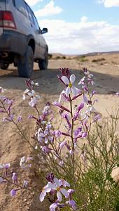 Click image for larger version.&nbsp;

Name:	IMG_20260223_181819.jpg&nbsp;
Views:	59&nbsp;
Size:	620.5 ��������&nbsp;
ID:	150597