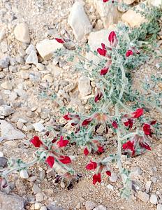 Click image for larger version.&nbsp;

Name:	IMG_20260223_181902.jpg&nbsp;
Views:	56&nbsp;
Size:	597.0 ��������&nbsp;
ID:	150598