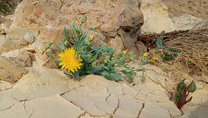 Click image for larger version.&nbsp;

Name:	IMG_20260223_181919.jpg&nbsp;
Views:	59&nbsp;
Size:	649.2 ��������&nbsp;
ID:	150599