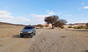 Click image for larger version.&nbsp;

Name:	IMG_20260223_181941.jpg&nbsp;
Views:	66&nbsp;
Size:	574.6 ��������&nbsp;
ID:	150600