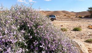 Click image for larger version.&nbsp;

Name:	IMG_20260223_181844.jpg&nbsp;
Views:	59&nbsp;
Size:	846.2 ��������&nbsp;
ID:	150601