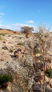 Click image for larger version.&nbsp;

Name:	IMG_20260223_181737.jpg&nbsp;
Views:	53&nbsp;
Size:	817.1 ��������&nbsp;
ID:	150602