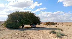 Click image for larger version.&nbsp;

Name:	IMG_20260223_181759.jpg&nbsp;
Views:	54&nbsp;
Size:	598.6 ��������&nbsp;
ID:	150603