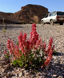 Click image for larger version.&nbsp;

Name:	IMG_20260310_145018.jpg&nbsp;
Views:	64&nbsp;
Size:	536.7 ��������&nbsp;
ID:	150644