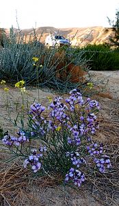 Click image for larger version.&nbsp;

Name:	IMG_20260310_144928.jpg&nbsp;
Views:	71&nbsp;
Size:	786.9 ��������&nbsp;
ID:	150645