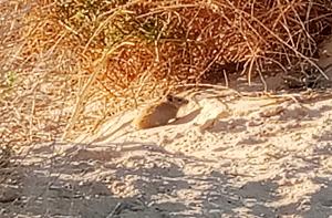 Click image for larger version.&nbsp;

Name:	IMG_20260310_144943.jpg&nbsp;
Views:	69&nbsp;
Size:	527.4 ��������&nbsp;
ID:	150646