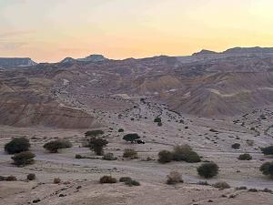 Click image for larger version.&nbsp;

Name:	10 ��� �����.jpg&nbsp;
Views:	28&nbsp;
Size:	991.2 ��������&nbsp;
ID:	150654