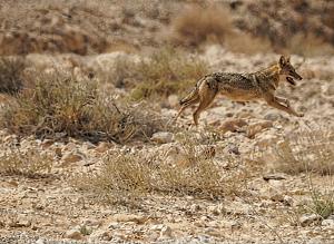 Click image for larger version.&nbsp;

Name:	17 ���.jpg&nbsp;
Views:	23&nbsp;
Size:	706.8 ��������&nbsp;
ID:	150658