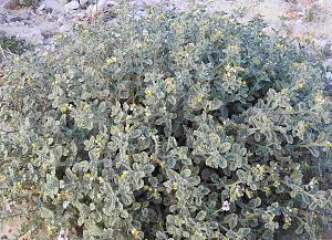 Click image for larger version.&nbsp;

Name:	18 ����-���� �����.jpg&nbsp;
Views:	27&nbsp;
Size:	1.13 MB&nbsp;
ID:	150659