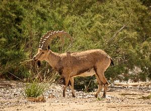 Click image for larger version.&nbsp;

Name:	48 ���.jpg&nbsp;
Views:	18&nbsp;
Size:	801.0 ��������&nbsp;
ID:	150669