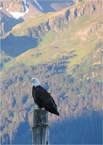 Click image for larger version. 

Name:	bold1.jpg 
Views:	88 
Size:	81.4  
ID:	27600