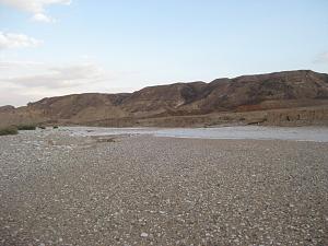 Click image for larger version. 

Name:	IMG_4019.jpg 
Views:	209 
Size:	150.0  
ID:	40904