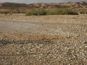 Click image for larger version. 

Name:	IMG_3954.jpg 
Views:	216 
Size:	255.1  
ID:	40906