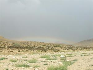 Click image for larger version. 

Name:	DSCF0938.JPG 
Views:	199 
Size:	83.8  
ID:	41363