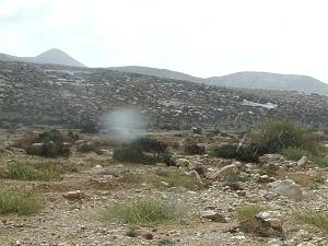 Click image for larger version. 

Name:	DSCF0935.JPG 
Views:	213 
Size:	139.2  
ID:	41367