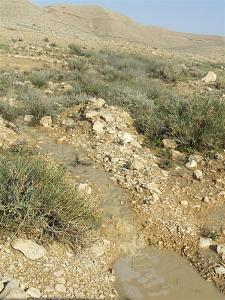 Click image for larger version. 

Name:	DSCF0954.JPG 
Views:	222 
Size:	112.1  
ID:	41377