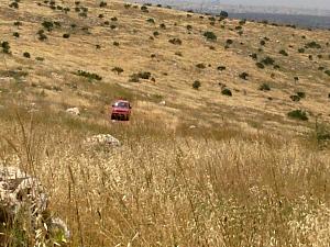 Click image for larger version. 

Name:	טיול5.jpg 
Views:	162 
Size:	194.9  
ID:	42165