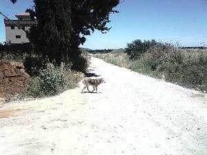 Click image for larger version. 

Name:	dk 007.jpg 
Views:	259 
Size:	267.3  
ID:	42887