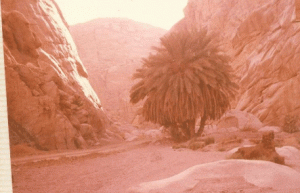Click image for larger version. 

Name:	ScreenHunter_06 Aug. 13 16.11.gif 
Views:	186 
Size:	104.0  
ID:	46721